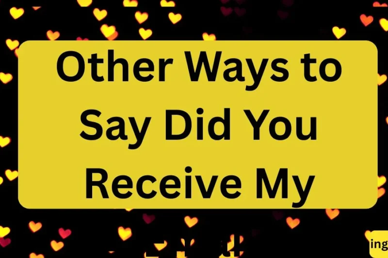 Other Ways to Say Did You Receive My Email in 2026