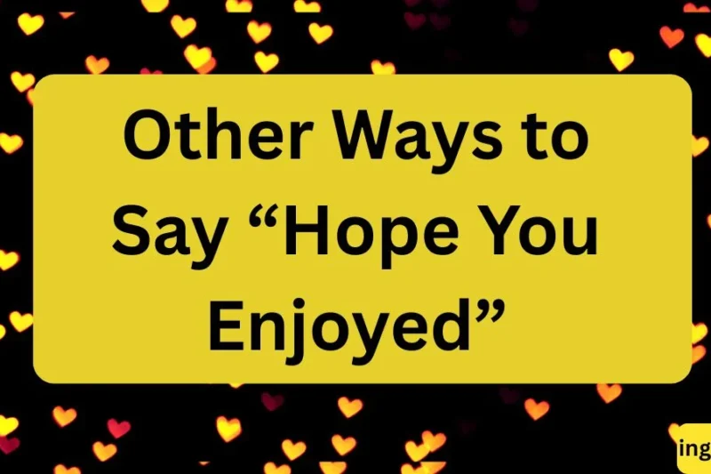 Other Ways to Say “Hope You Enjoyed” (Formal, Professional & Casual Alternatives)