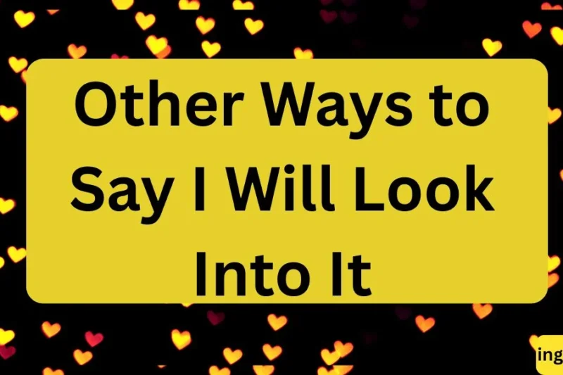 Other Ways to Say “I Will Look Into It” (Professional & Polite Alternatives)