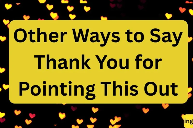 Other Ways to Say Thank You for Pointing This Out in 2026