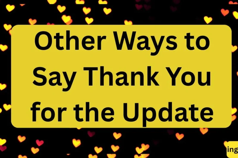 Other Ways to Say Thank You for the Update in 2026