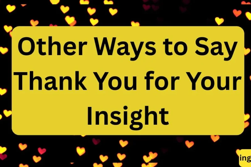 Other Ways to Say Thank You for Your Insight in 2026