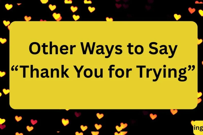 Other Ways to Say “Thank You for Trying” Polite and Appreciative Alternatives
