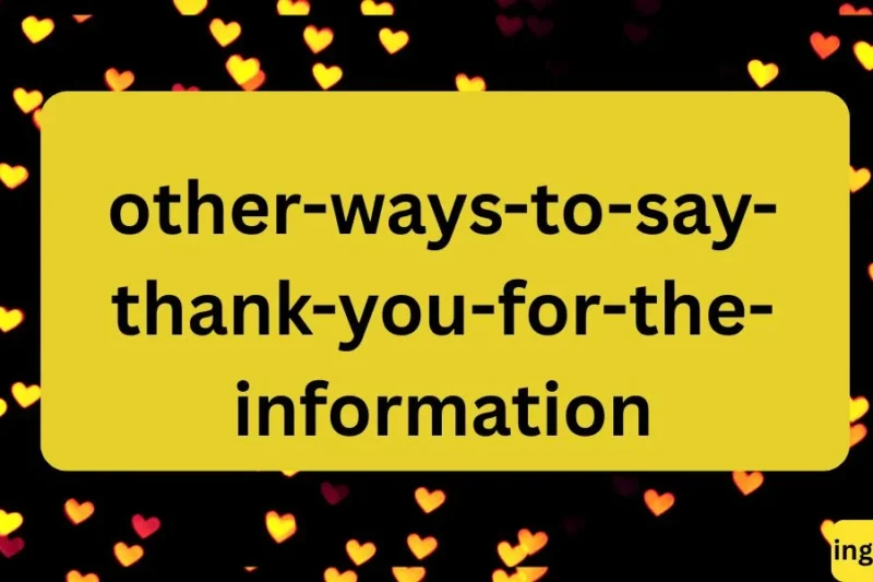 Other Ways to Say “Thank You for the Information”: Polite Alternatives & Phrases