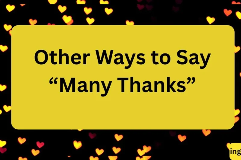 “Other Ways to Say ‘Many Thanks’: Polite and Creative Alternatives” ✅ 2026