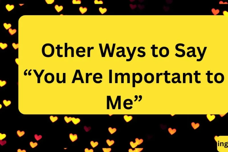 Other Ways to Say “You Are Important to Me” (Heartfelt & Meaningful Alternatives) 2026