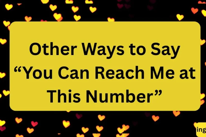Other Ways to Say “You Can Reach Me at This Number” – Polite and Professional Alternatives
