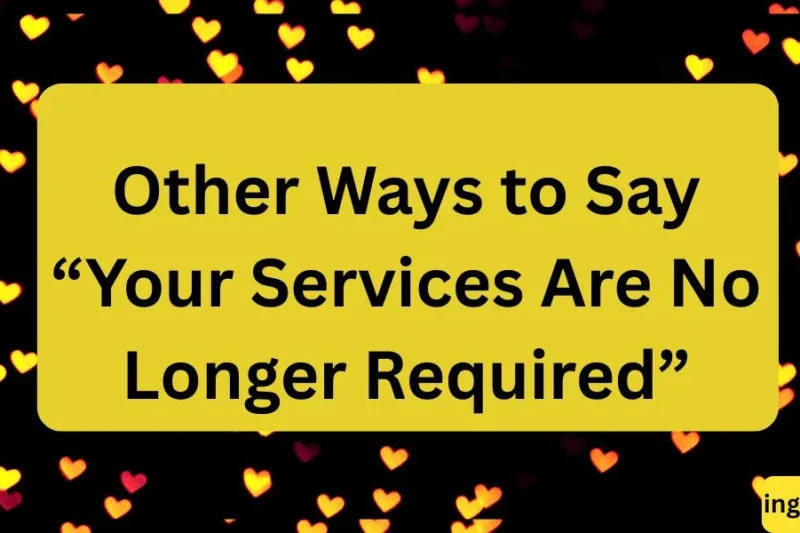 Other Ways to Say “Your Services Are No Longer Required” Professionally ✅