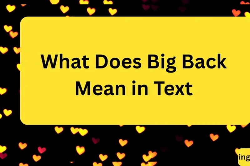 What Does Big Back Mean in Text? Real Meaning, Examples & Social Media Use 2026