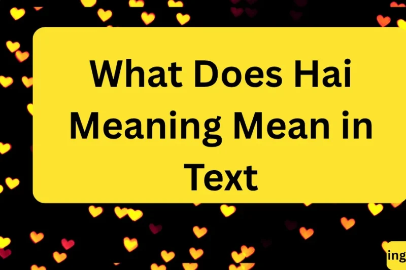 What Does Hai Meaning Mean in Text? Real Meaning, Examples & Social Media Use 2026