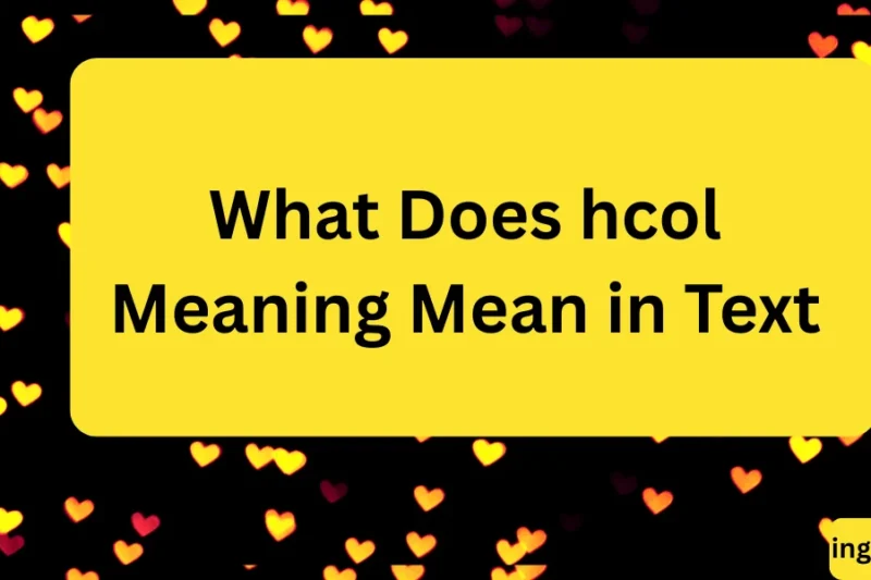 What Does hcol Meaning Mean in Text? Real Meaning, Examples & Social Media Use 2026