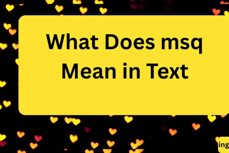 What Does msq Mean in Text? Real Meaning, Examples & Social Media Use 2026