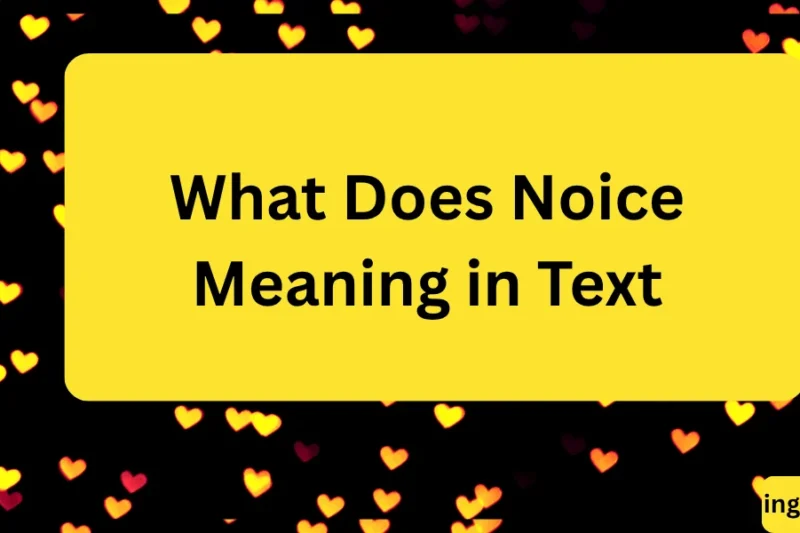 What Does Noice Meaning in Text? Real Meaning, Examples & Social Media Use