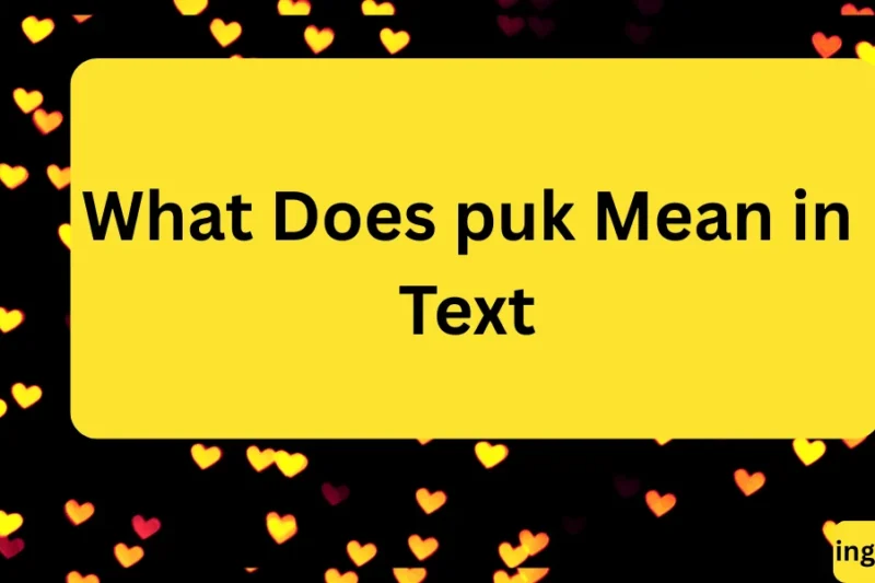 What Does puk Mean in Text? Real Meaning, Examples & Social Media Use 2026