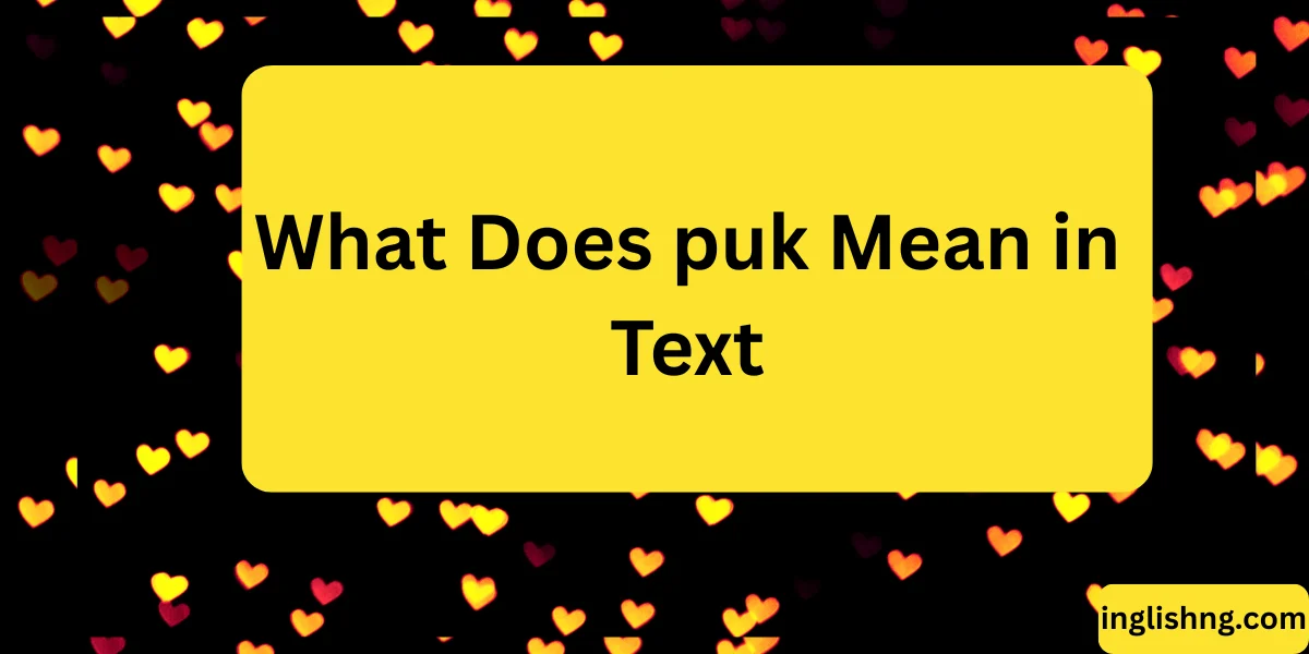 What Does puk Mean in Text
