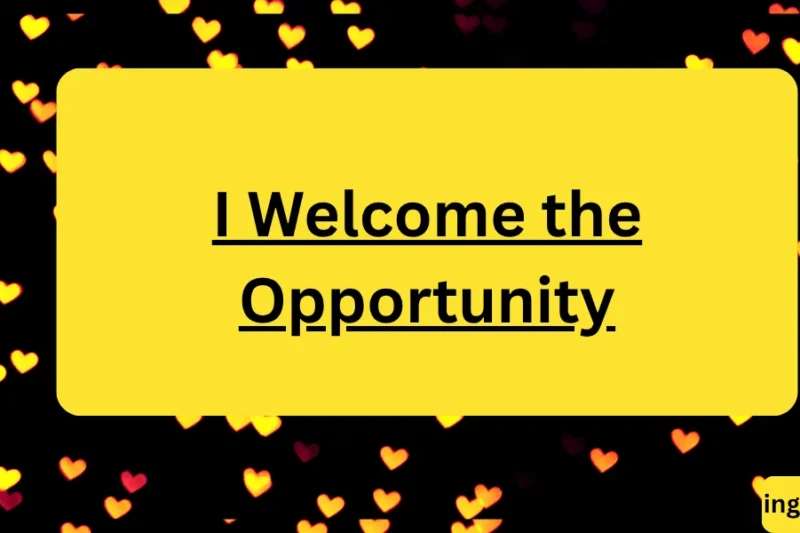 Another Way to Say “I Welcome the Opportunity” – Professional Alternatives, Email Phrases & Writing Guide 2026