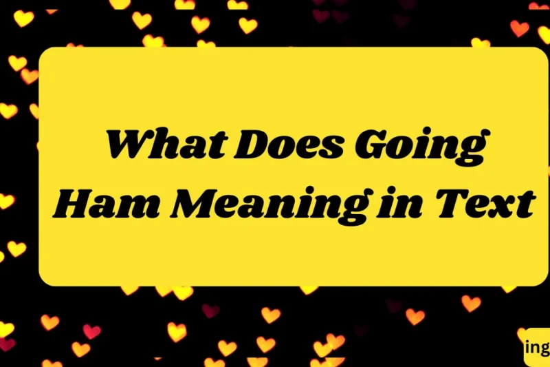 What Does Going Ham Meaning in Text? Real Meaning, Examples & Social Media Use 2026