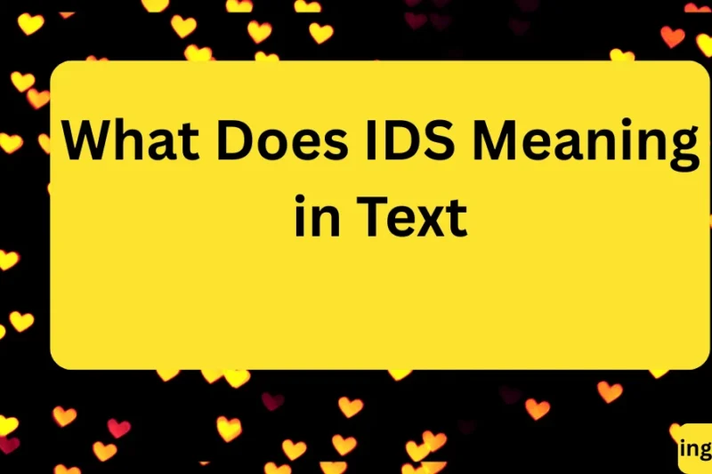 What Does IDS Meaning in Text? Real Meaning, Examples & Social Media Use 2026