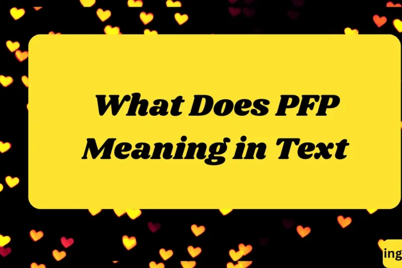 What Does PFP Meaning in Text? Real Meaning, Examples & Social Media Use 2026