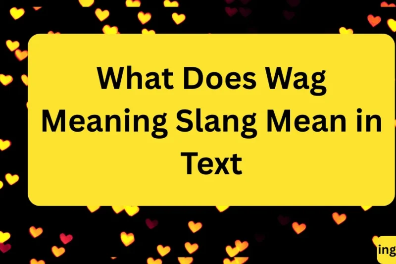 What Does Wag Meaning Slang Mean in Text? Real Meaning, Examples & Social Media Use 2026