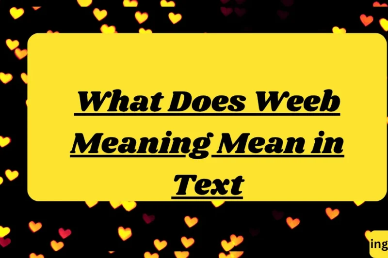 What Does Weeb Meaning Mean in Text? Real Meaning, Examples & Social Media Use 2026
