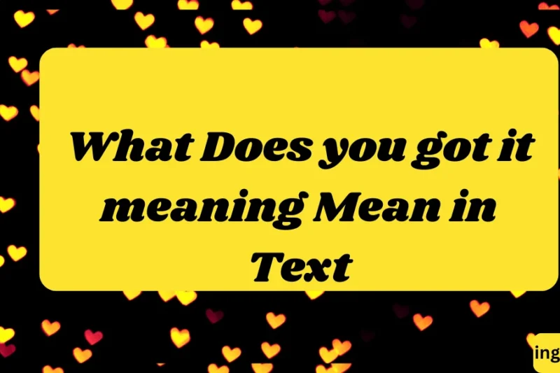 What Does you got it meaning Mean in Text? Real Meaning, Examples & Social Media Use 2026