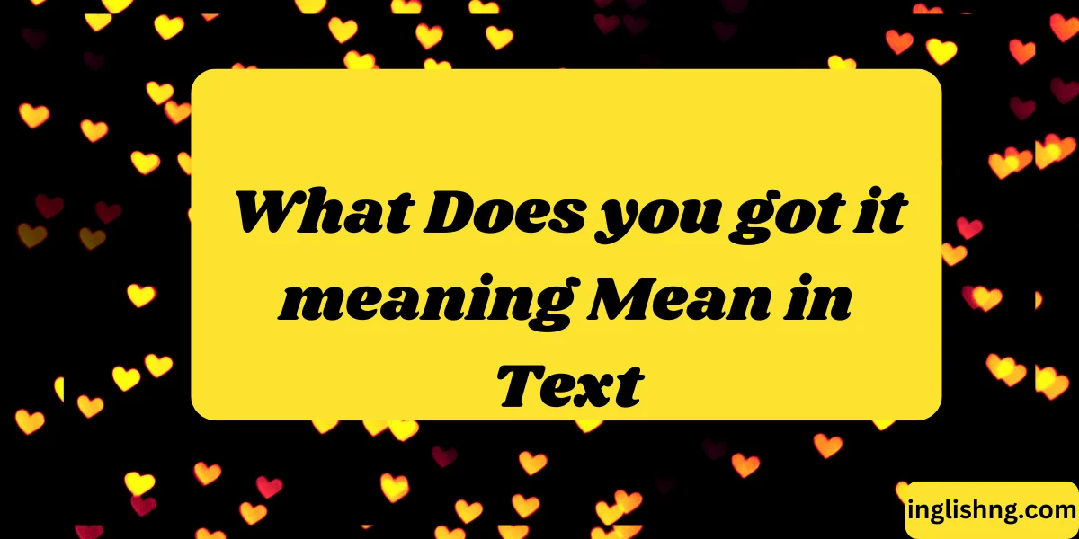 What Does you got it meaning Mean in Text
