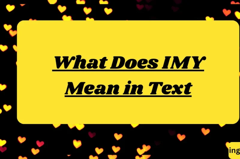 What Does IMY Mean in Text ? Real Meaning, Examples & Social Media Use 2026