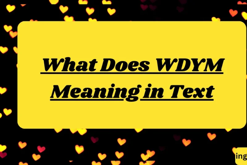 What Does WDYM Meaning in Text? Real Meaning, Examples & Social Media Use 2026