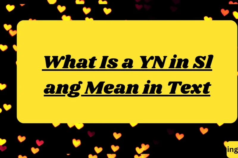 What Is a YN in Slang Mean in Text? Real Meaning, Examples & Social Media Use 2026