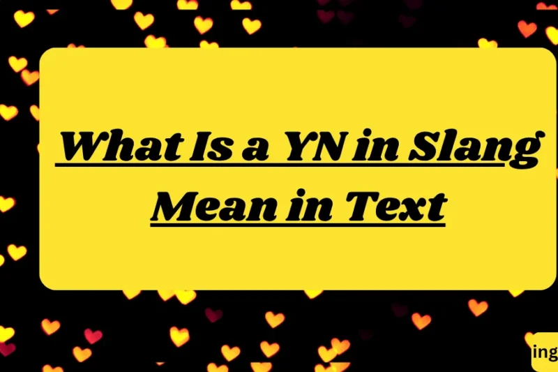 What Is a YN in Slang Mean in Text? Real Meaning, Examples & Social Media Use 2026